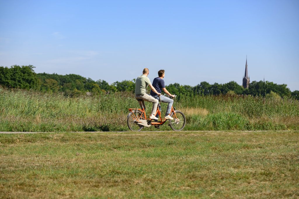 Dux Nova 15 jaar - De kracht van samen